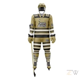 Ice Hockey